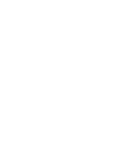 SCHOOL VISION PURPOSE GROVELANDS PRIMARY SCHOOL