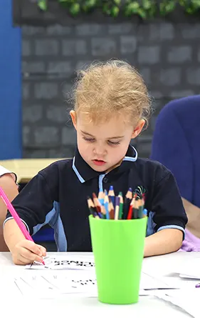 PRE-PRIMARY YEAR 6 ENROLMENT GROVELANDS PRIMARY SCHOOL